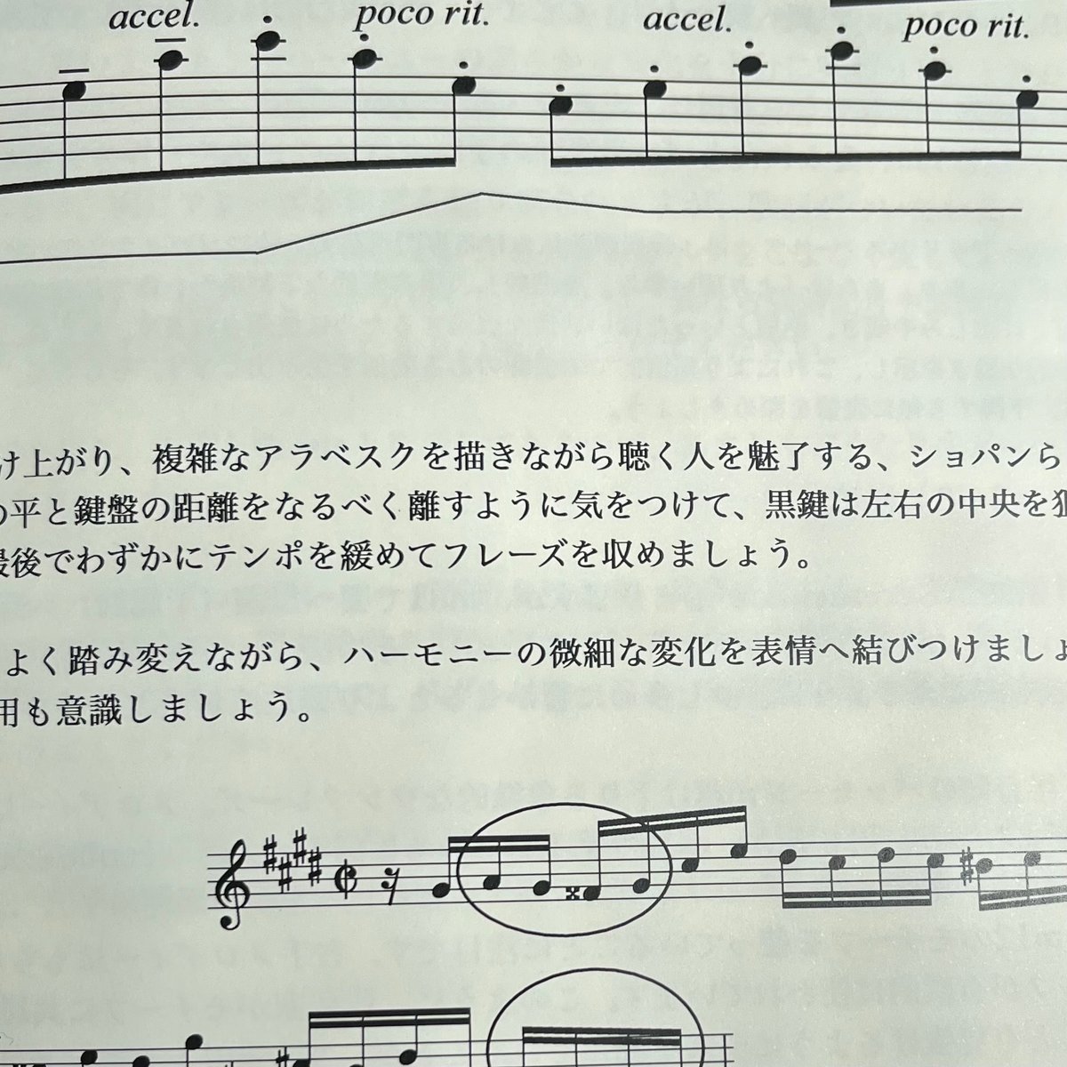 文献社「The Piano 解釈と響き ショパン編」より未開封DVD2枚 文献社「The Piano 解釈と響き ショパン編」より未開封DVD2枚 DVD