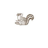 COMPARIS