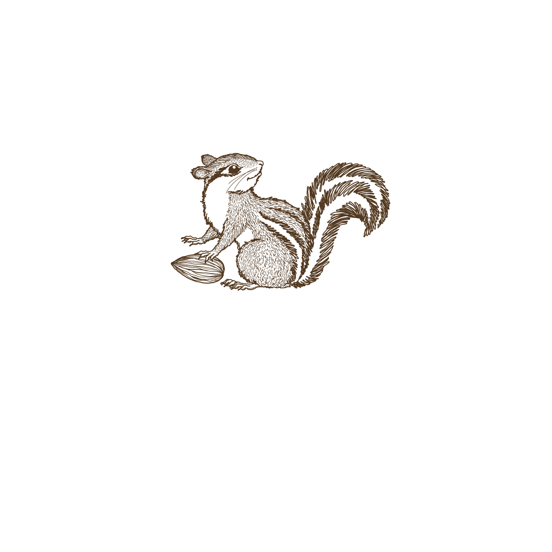 COMPARIS