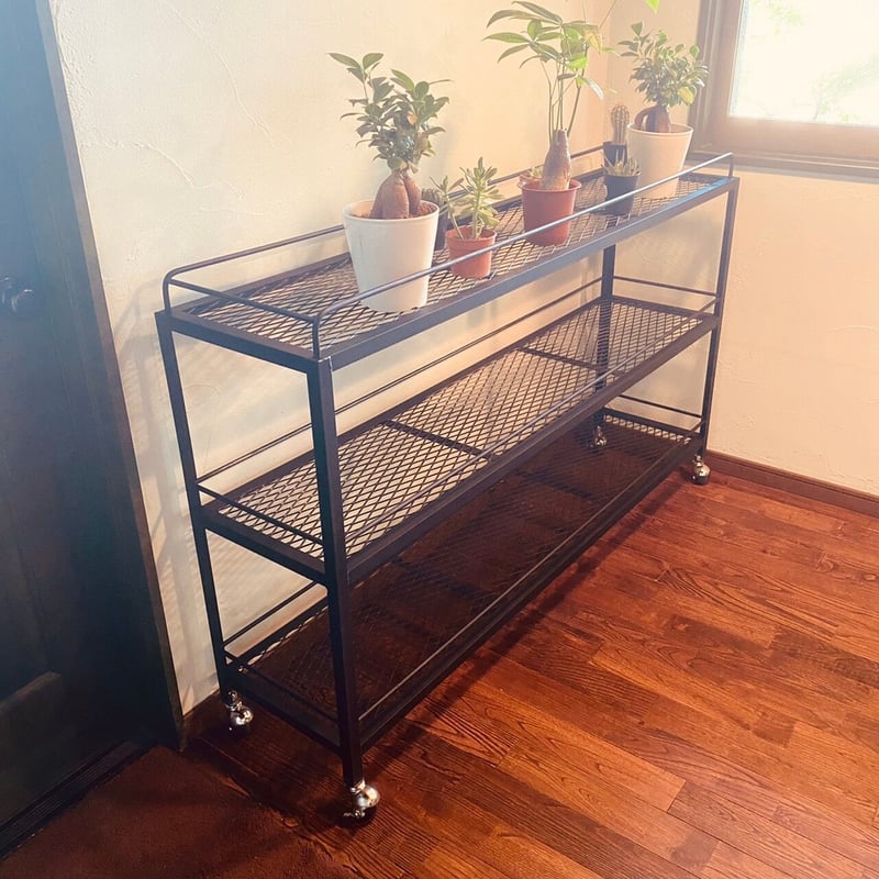 アイアンシェルフ アイアンラック ボタニカルシェルフ 植物棚 アガベ