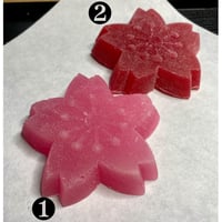 滑蝋和藥 【桜】