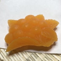 滑蝋和藥　【びわ】