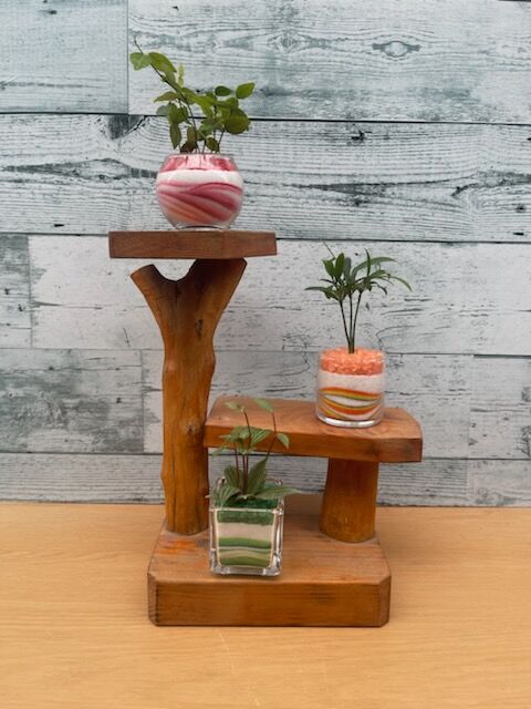 手のひらサイズのかわいい観葉植物！！3色3点セットミニ | 中川園芸