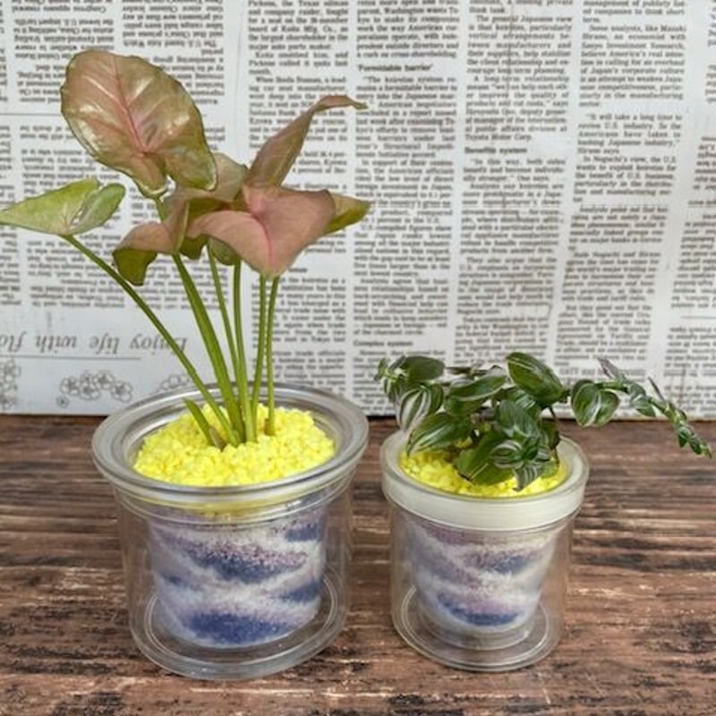 水やり簡単！！自動給水鉢 大小2個セット | 中川園芸