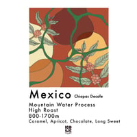 【Decaf】Mexico Chiapas Decafe