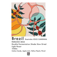 Brazil Guariroba VOVO CANDINHA