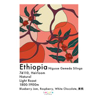 Ethiopia Silinga