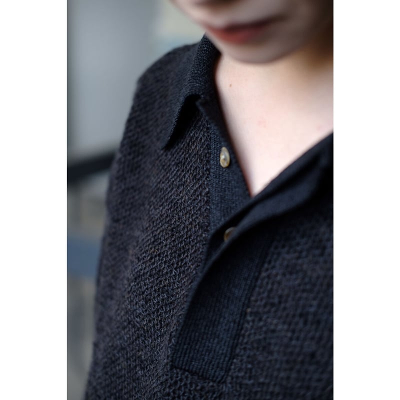 ANSNAM / Knit Polo(Black Brown) | PARK