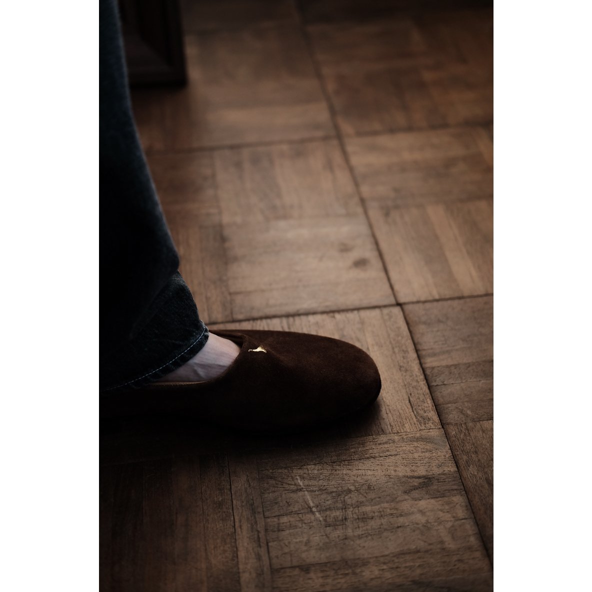 the Mad Shop / Dinosaur(2 colors) | PARK