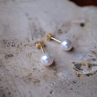 sCenes /【ESSENTIALS】Akoya Pearl Stud Earrings(6.5-7.0mm)