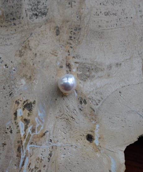 sCenes / Collectible Akoya Pearl 8.5-9.0mm