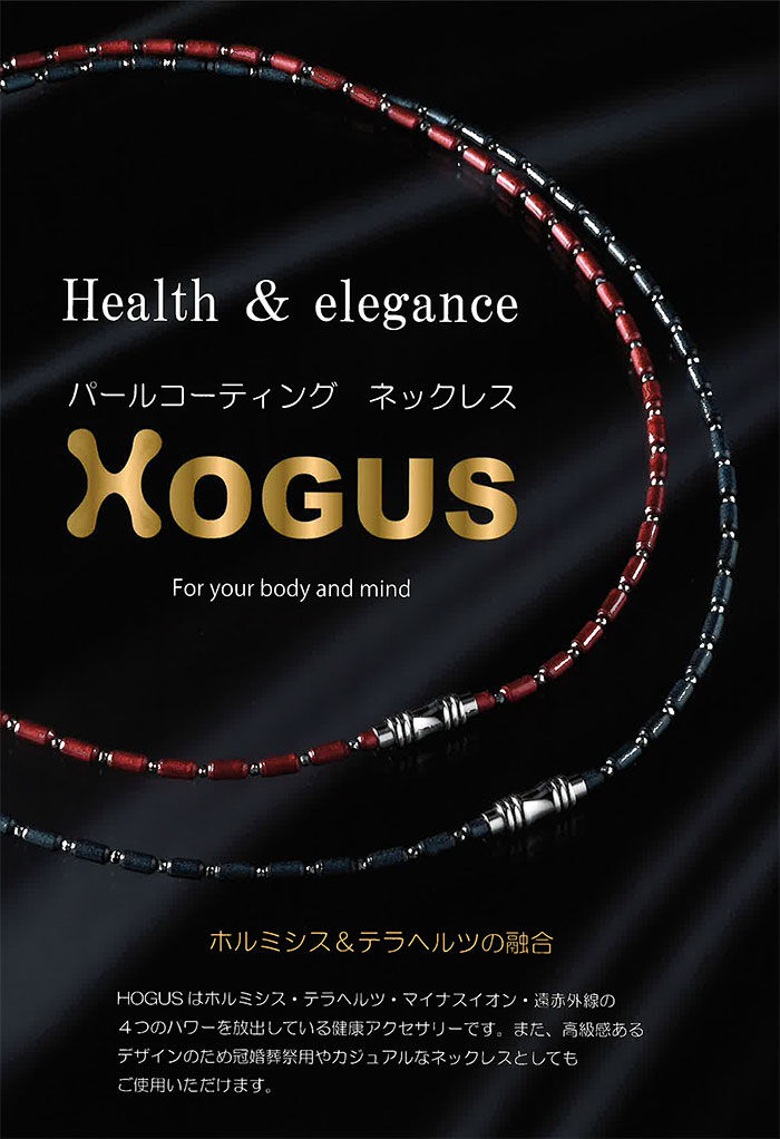 ✳️専用‼️限定価格☆高級感漂う☆HOGUS ネックレス 健康ジュエリー ホルミシス 特別限定価格 極上品 健康ジュエリー HOGUS ネックレス 黒 黒色