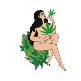 THC CRAFT ONLINE STORE