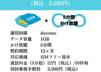 docomoSIMカード（1GB）＋かけ放題（5分間）セット