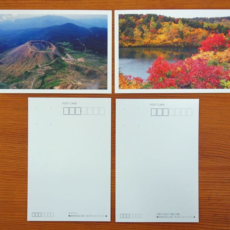 ポストカードセット4 A185】四季のポストカードセット(4種類4枚入) | moriringo.com