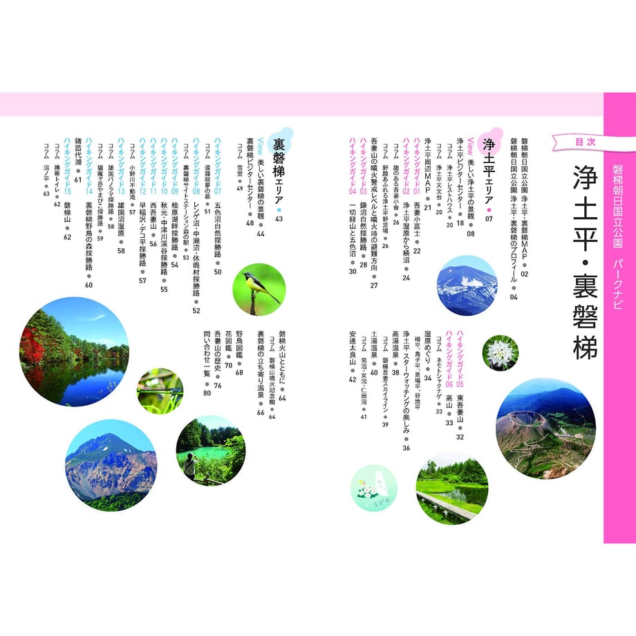 61cd6c5ee3bbd161fc9763ed