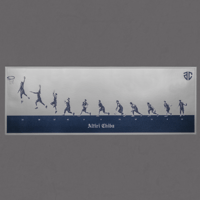ALTIRI CHIBA CELEBRATION METALLIC POSTER
