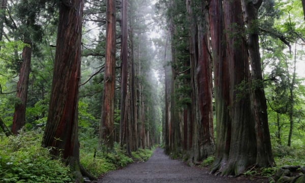 戸隠の岩戸清水