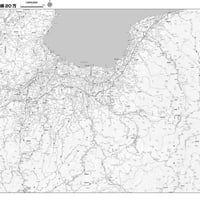 Cタイプ富山県詳細白地図1/200000タウンロード販売