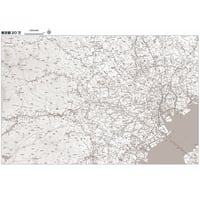 Cタイプ東京都詳細白地図1/200000 ダウンロード販売