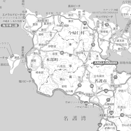 Cタイプ沖縄県本島詳細白地図1/200000タウンロード販