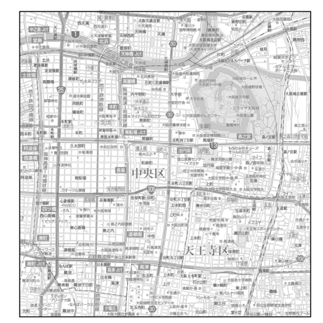 C大阪市中央区1／25,000白地図タウンロード販売