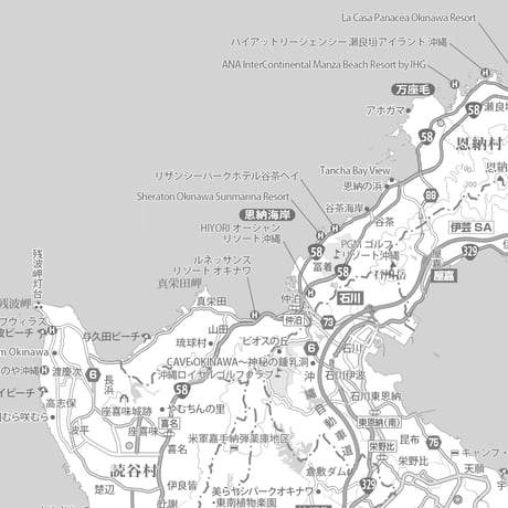 Cタイプ沖縄県本島詳細白地図1/200000タウンロード販