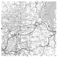 無料Cタイプ1/20万白地図サンプル