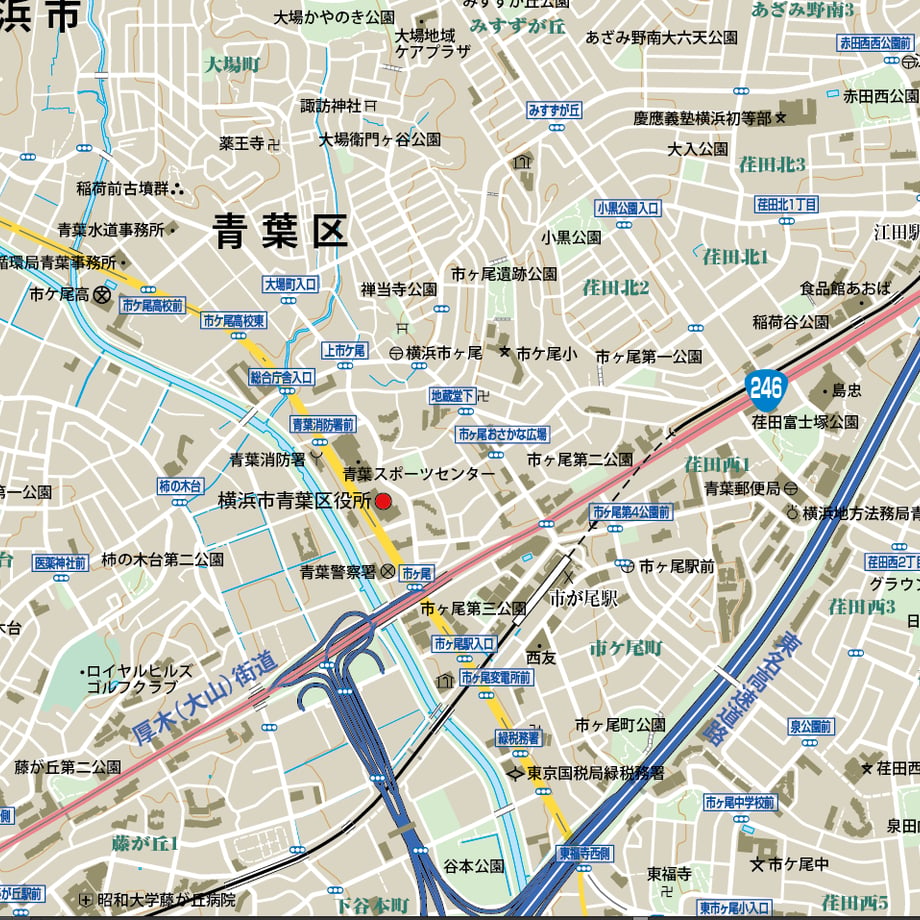 66a346a4e2a98800fbb55caa