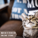 猫のおうちNECON(ねこん)