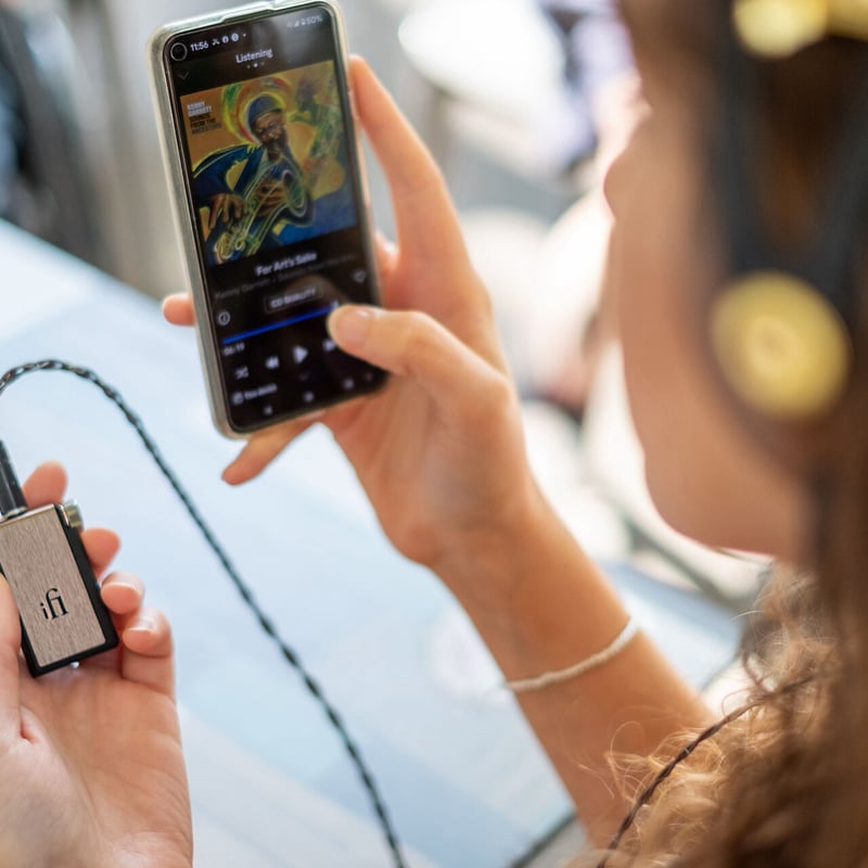 iFi Audio Go blu Bluetoothヘッドホンアンプ | cielbleu