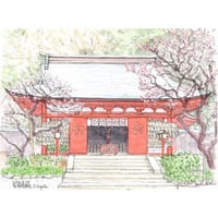 New//水彩画 北鎌倉浄智寺の枝垂れ桜 | C.Nagata Gallery