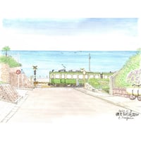 New//水彩画 北鎌倉浄智寺の枝垂れ桜 | C.Nagata Gallery