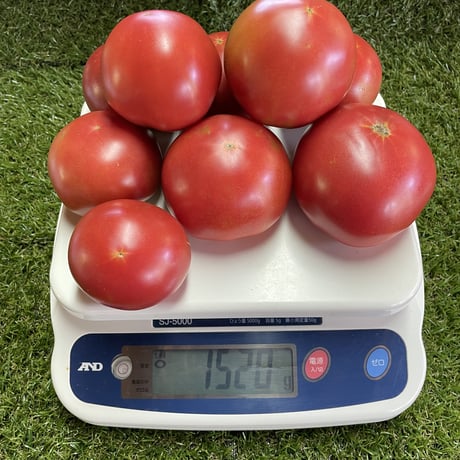 露地トマト　1.5kg（約6〜10個）