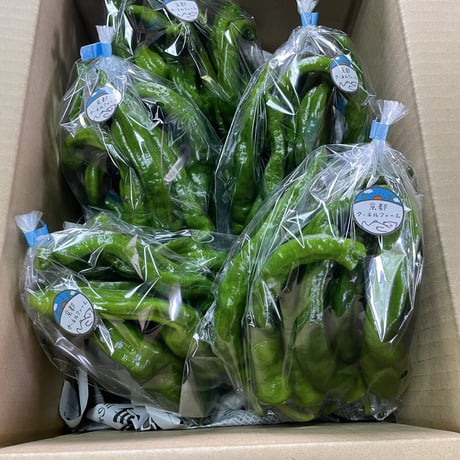 万願寺とうがらし　１kg