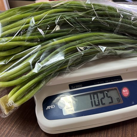 万能ねぎ(細ネギ)　１kg