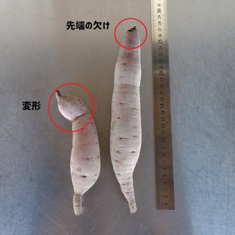 【訳あり特価品】「べにはるか10kg」（小～中サイズ、自然栽培：栽培期間中農薬・肥料不使用）