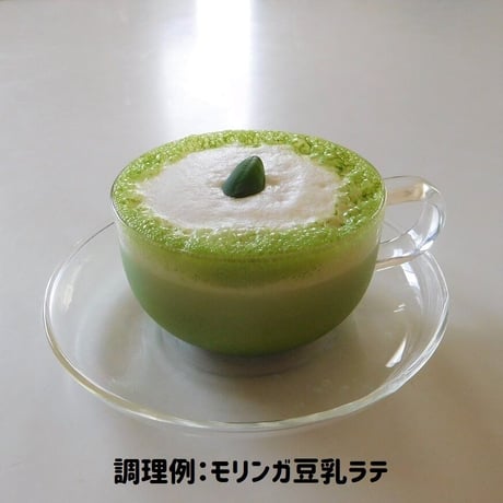 【送料込】奇跡の木！モリンガパウダー（栽培期間中農薬・化学肥料不使用）