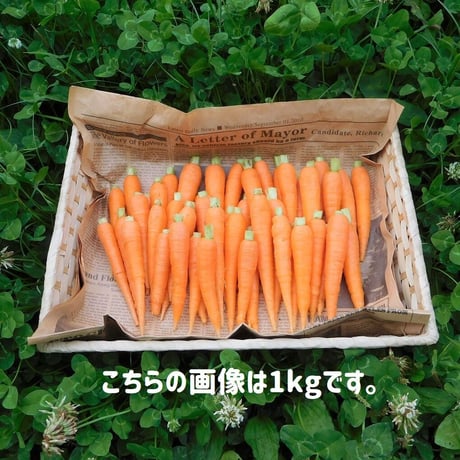 【期間限定】柔らかくて甘い！間引き人参（栽培期間中農薬・化学肥料不使用）