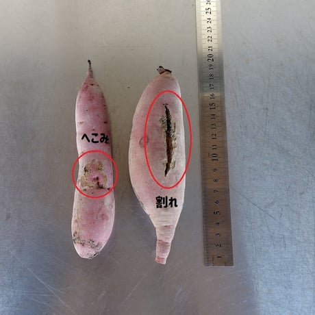 【訳あり特価品】「べにはるか10kg」（小～中サイズ、自然栽培：栽培期間中農薬・肥料不使用）