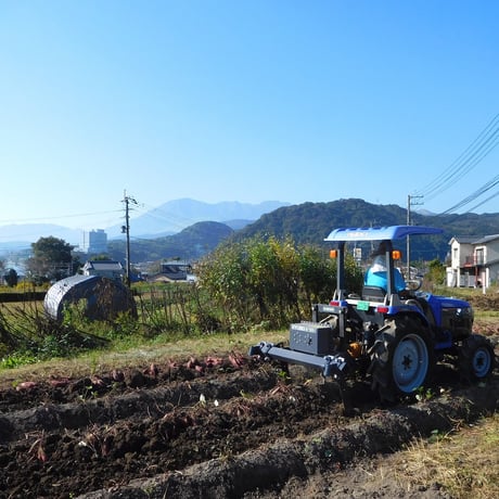 【規格外品】さつま芋「紅はるか10kg」（自然栽培・サイズ無選別品小～大サイズ混）