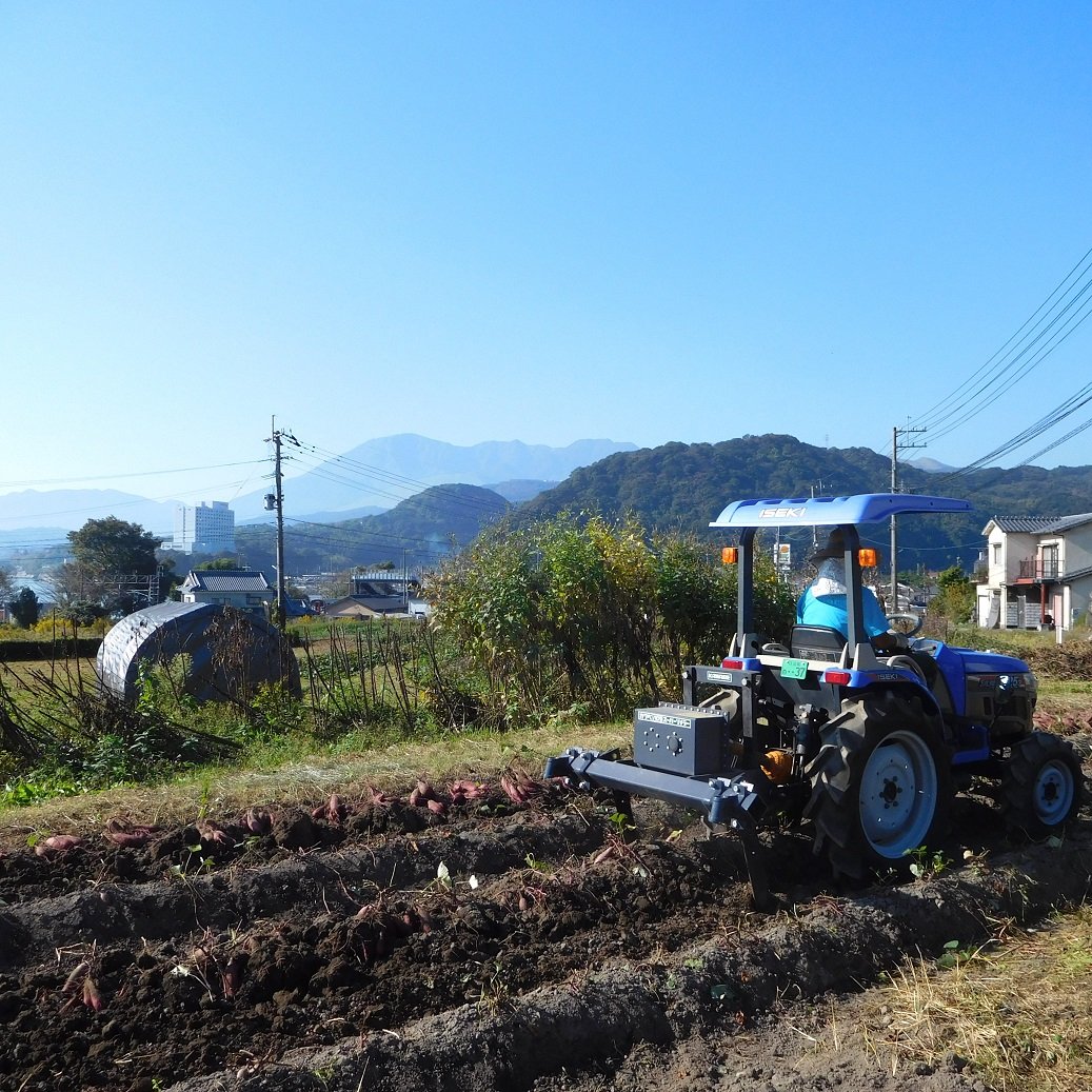 自然栽培さつま芋「べにはるか」(小~中サイズ・焼き芋に適した 自然栽培さつま芋「べにはるか」(小~中サイズ・焼き芋に適した