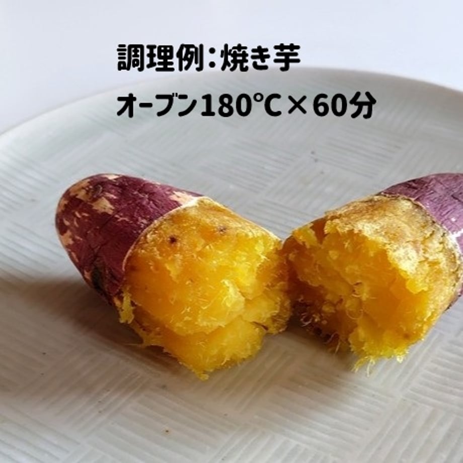 69197bc94fb49046fa1dd0a9