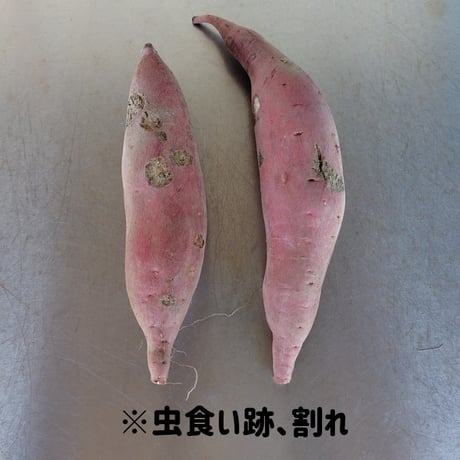 【訳ありＢ品】熟成不要のさつま芋「あまはづき」（虫害・割れ・キズあり、小～中サイズ、栽培期間中農薬・肥料不使用）