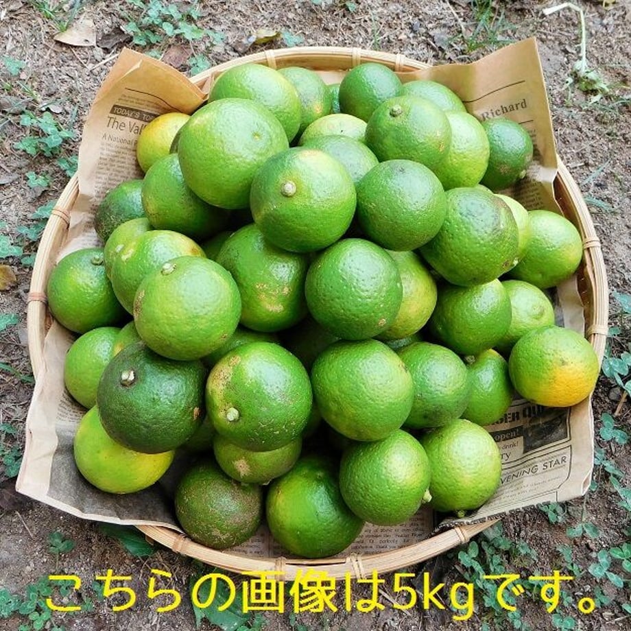 651e5008467cc70031642ddb