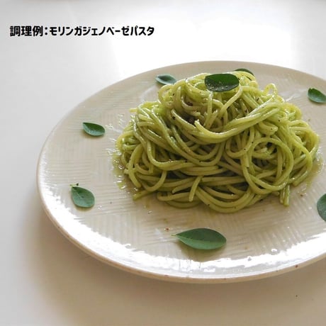 【送料込】奇跡の木！モリンガパウダー（栽培期間中農薬・化学肥料不使用）