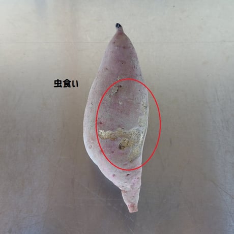 【訳あり特価品】「べにはるか10kg」（小～中サイズ、自然栽培：栽培期間中農薬・肥料不使用）