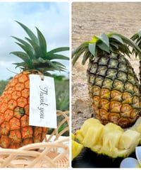 【石垣島産】希少パインと大人気パインのお得な食べ比べセット!!サンドルチェ1玉・ジュワリーパイン2玉