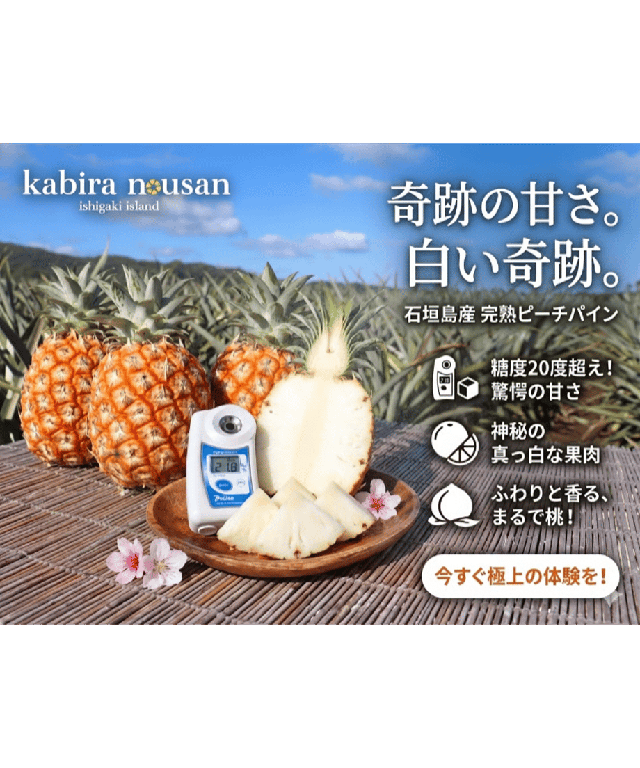 61c88633c7258628a668f2ce