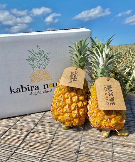 【石垣島産】スナックパイナップルケーキ　5個入り税込1271円　10個入り税込2377円